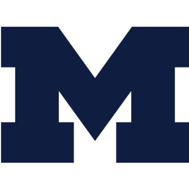 Michigan Wolverines Logo